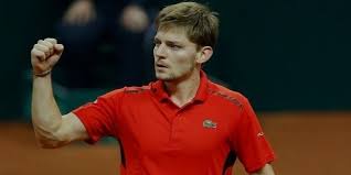 David Goffin 